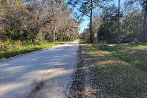Commercial property in Micanopy, Florida 202.9 sq.m. № 923613 - photo 25