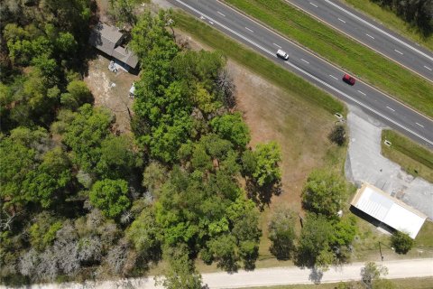 Commercial property in Micanopy, Florida 202.9 sq.m. № 923613 - photo 28