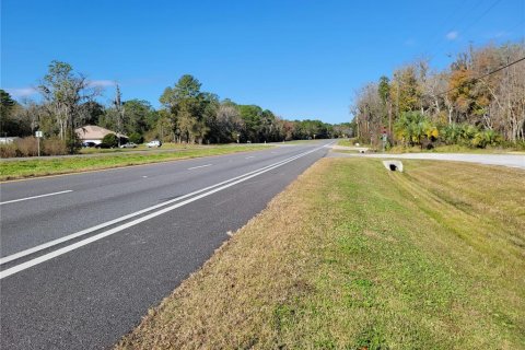 Commercial property in Micanopy, Florida 202.9 sq.m. № 923613 - photo 20