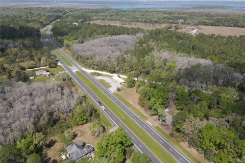 Commercial property in Micanopy, Florida 202.9 sq.m. № 923613 - photo 12