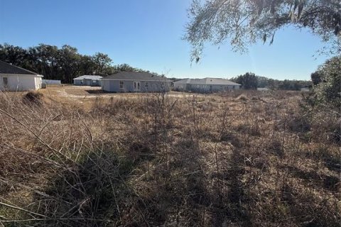 Land in Inverness, Florida № 2159308 - photo 2