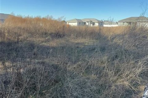 Land in Inverness, Florida № 2159308