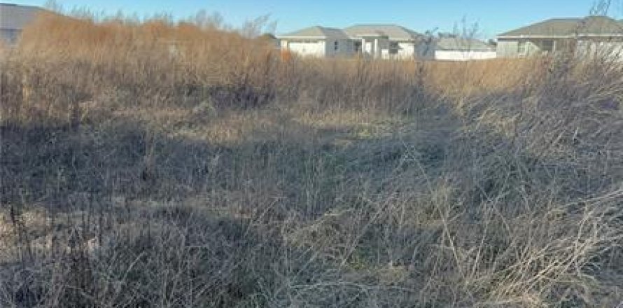 Land in Inverness, Florida № 2159308