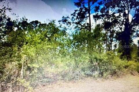 Land in Port Charlotte, Florida № 2207545
