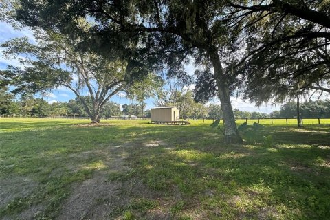 Land in Ocala, Florida № 1721667 - photo 7
