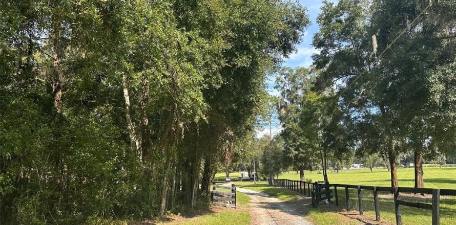 Land in Ocala, Florida № 1721667