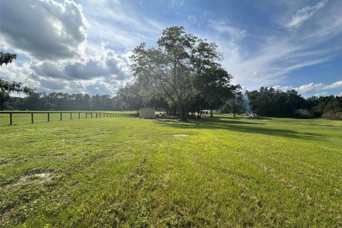 Land in Ocala, Florida № 1721667 - photo 12
