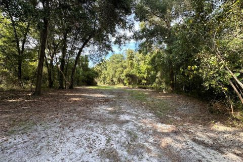 Land in Ocala, Florida № 1721667 - photo 30