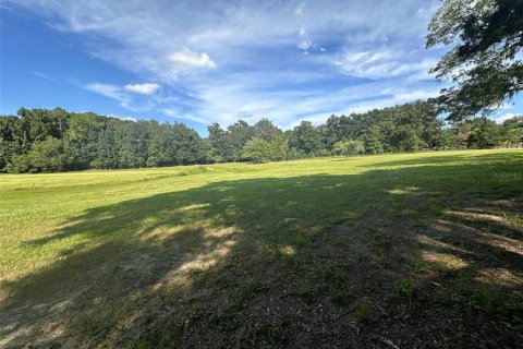 Land in Ocala, Florida № 1721667 - photo 5