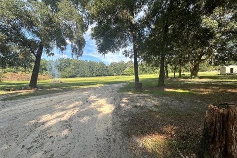 Land in Ocala, Florida № 1721667 - photo 3