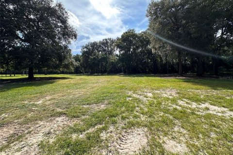 Land in Ocala, Florida № 1721667 - photo 27