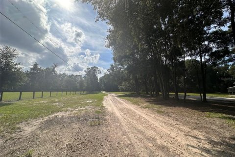 Land in Ocala, Florida № 1721667 - photo 16