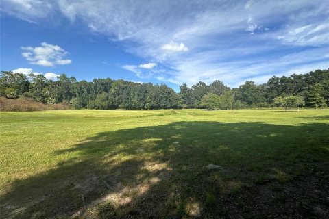 Land in Ocala, Florida № 1721667 - photo 6