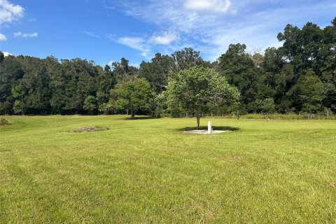 Land in Ocala, Florida № 1721667 - photo 8