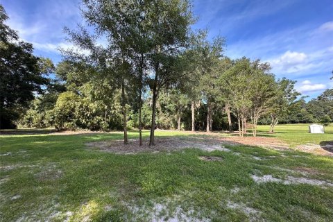 Land in Ocala, Florida № 1721667 - photo 28