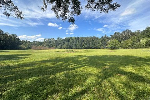 Land in Ocala, Florida № 1721667 - photo 13