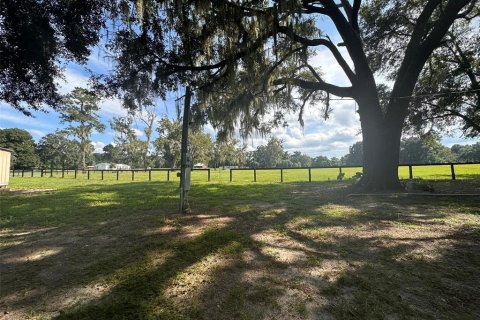 Land in Ocala, Florida № 1721667 - photo 15