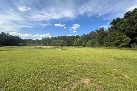 Land in Ocala, Florida № 1721667 - photo 11