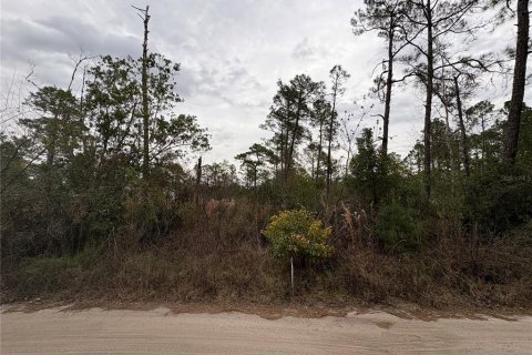 Land in Paisley, Florida № 2161082