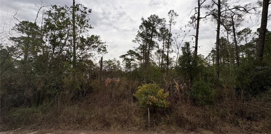 Land in Paisley, Florida № 2161082