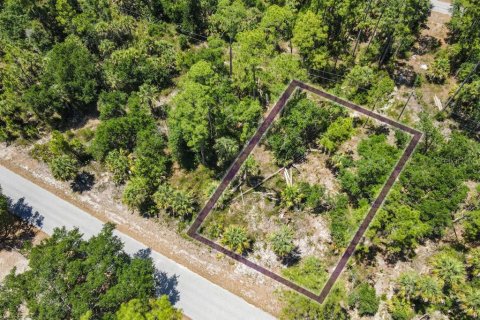 Land in Port Charlotte, Florida № 2160754