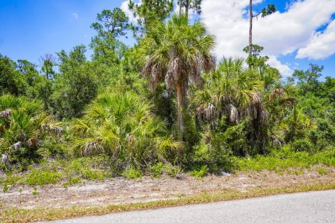 Land in Port Charlotte, Florida № 2160754 - photo 10