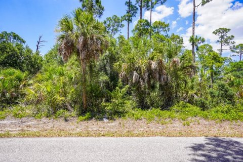 Land in Port Charlotte, Florida № 2160754 - photo 7