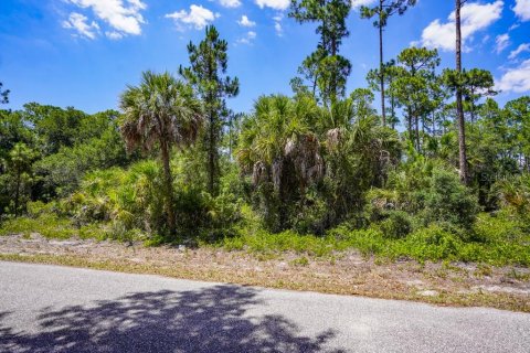 Land in Port Charlotte, Florida № 2160754 - photo 9