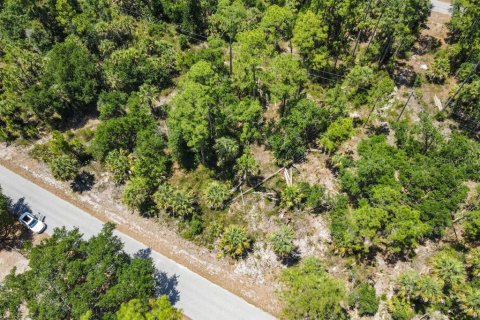 Land in Port Charlotte, Florida № 2160754 - photo 3
