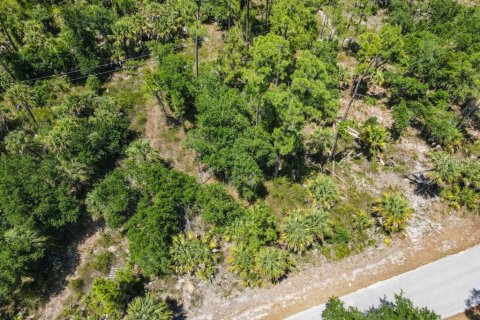 Land in Port Charlotte, Florida № 2160754 - photo 5