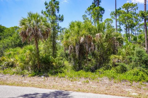 Land in Port Charlotte, Florida № 2160754 - photo 8