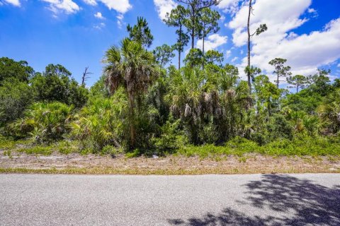 Land in Port Charlotte, Florida № 2160754 - photo 6