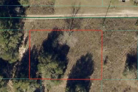 Land in Ocala, Florida № 2161789