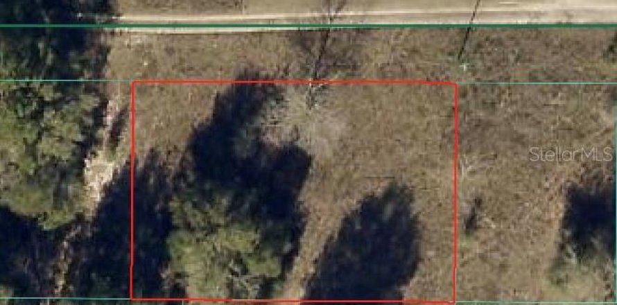 Land in Ocala, Florida № 2161789