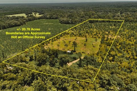 Land in Live Oak, Florida № 2306155