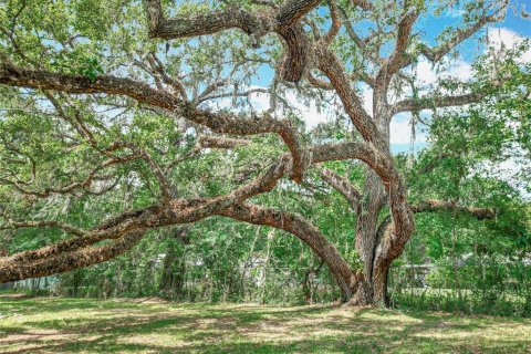 Villa ou maison à vendre à Brooksville, Floride: 3 chambres, 98.85 m2 № 1757098 - photo 30