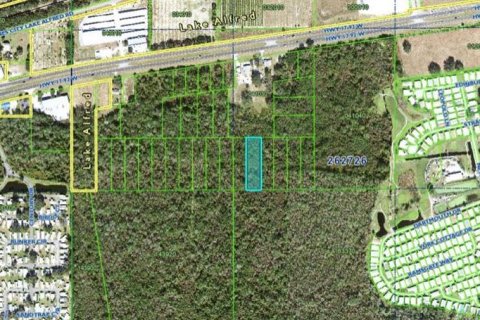 Land in Haines City, Florida № 2162039