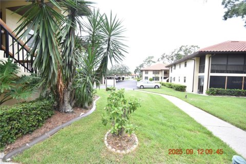 Copropriété à louer à Clearwater, Floride: 2 chambres, 95.69 m2 № 1912353 - photo 3