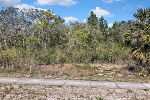 Terreno en venta en Hudson, Florida № 1612353 - foto 13