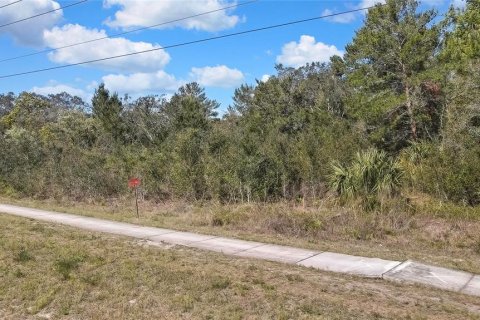 Terreno en venta en Hudson, Florida № 1612353 - foto 11