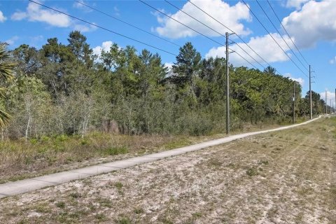Terreno en venta en Hudson, Florida № 1612353 - foto 14