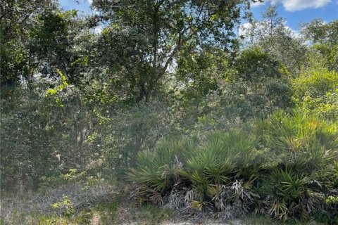 Land in Poinciana, Florida № 2163905