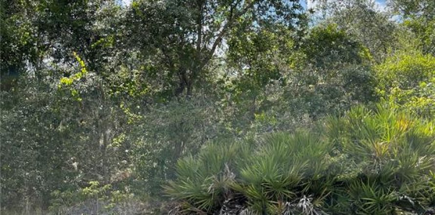 Terreno en Poinciana, Florida № 2163905