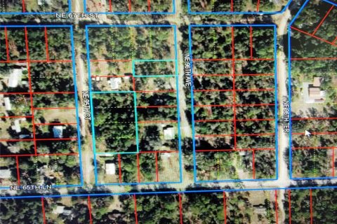 Land in Bronson, Florida № 2166423