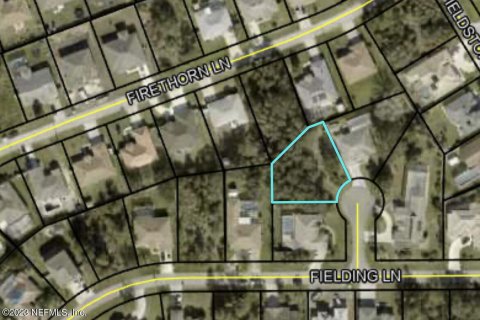 Land in Palm Coast, Florida № 806933 - photo 1