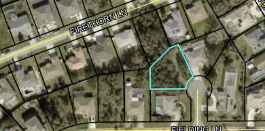 Land in Palm Coast, Florida № 806933