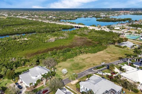 Land in Port Charlotte, Florida № 2379335 - photo 9
