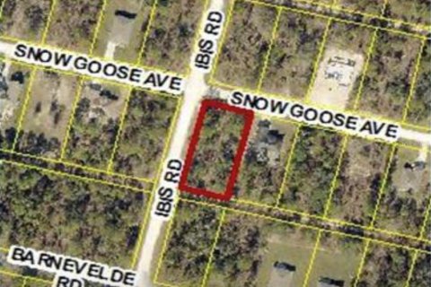 Land in Brooksville, Florida № 2165082