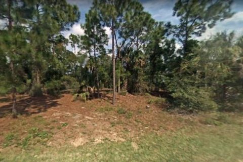 Land in Lake Wales, Florida № 313744 - photo 1