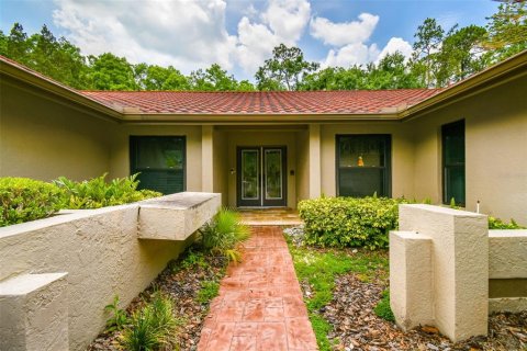 House in Tampa, Florida 5 bedrooms, 311.59 sq.m. № 1690097 - photo 5